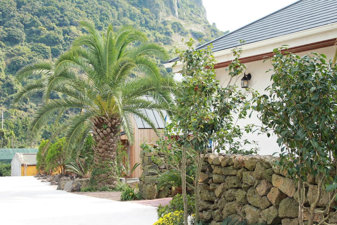 Mirvill Pension & Resort Σεογκουίπο Εξωτερικό φωτογραφία